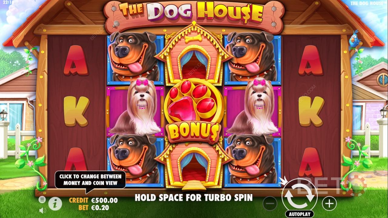 The Dog House слотындағы банкроллды басқару стратегиясы