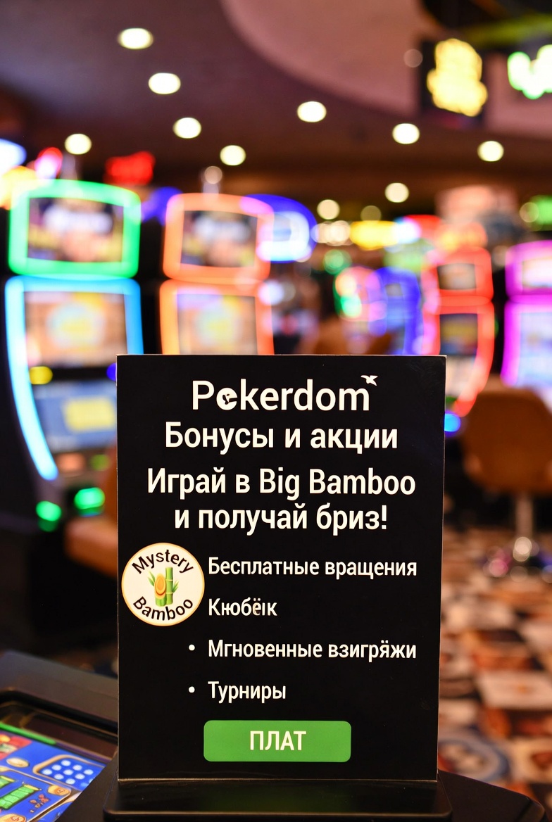 Бонусы и акции Pokerdom для игры в Big Bamboo